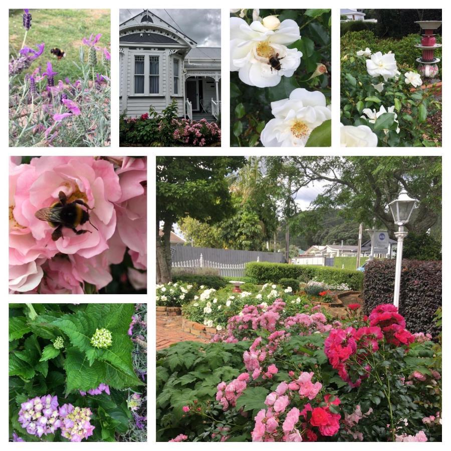 Chelsea House Bed & Breakfast Whangarei Bagian luar foto